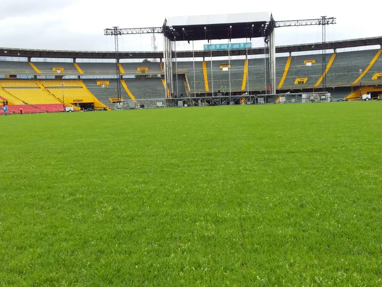 Gramilla del estadio El Campín