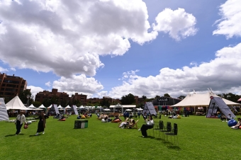 Feria Vassar