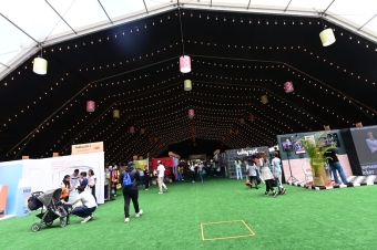 Feria Vassar