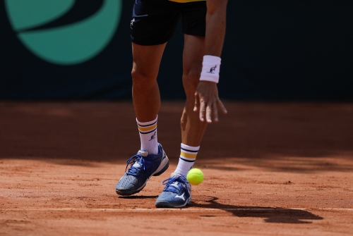 Tenis