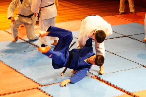 Jiu-jitsu