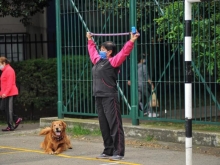 mujer ejercitándose junto a su perrito