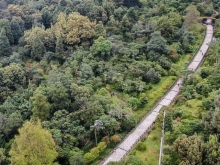sendero de parque