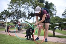 Recreación con mascotas