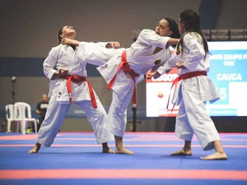 deportistas de karate compitiendo